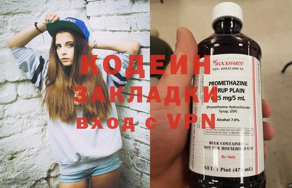 амф Вяземский