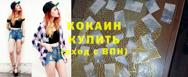 гидра Вязники