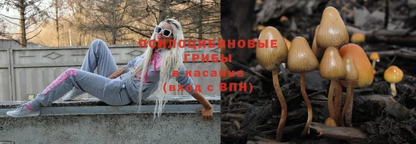 гидра Вязники