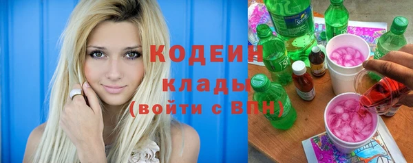амф Вяземский