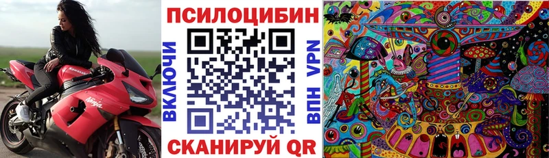 Купить  Любим  Псилоцибиновые грибы прущие грибы 